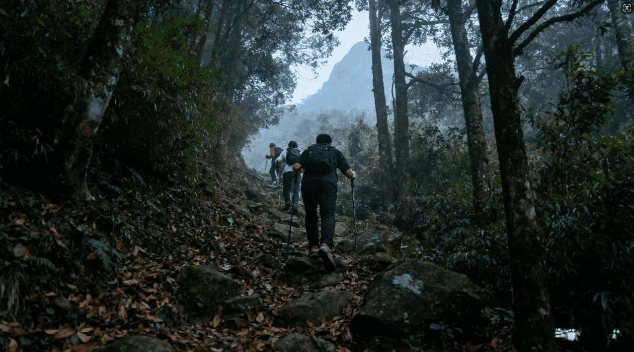 提升网络速度的跨国梯子加速器哪个靠谱